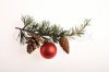 5373413-decoration-with-pine-branch-red-glass-ball-and-pine-cones.jpg