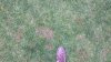 20161229_154846.jpg