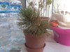 2016-12-26 001.JPG