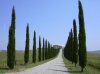 val-d-orcia.jpg