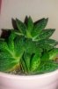 20170120_091343-1-480x717.jpg