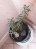 20170121_164203.jpg