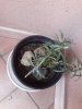20170121_164136.jpg
