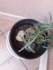 20170121_164132.jpg