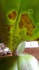 rps20170124_184412.jpg