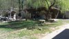 100_0078.jpg 100_0078.jpg