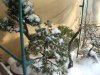 DSCF8343.jpg