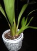 DSCN0784.jpg