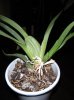 DSCN0788.jpg