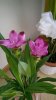 WP_20150708_003.jpg