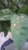 WP_20170202_063.jpg