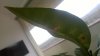 WP_20170202_064.jpg