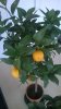 WP_20170202_057.jpg