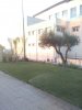 IMG_20170214_170528.jpg