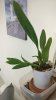 IMG_20170215_065520_1.jpg