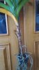 P_20170220_145121-min.jpg