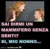 v7frnqobmb-sai-dirmi-un-mammifero-senza-denti-si-mio-nonno_b.jpg