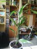 IMG_20170223_124416-01.jpeg