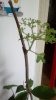 IMG-20170224-WA0004.jpg