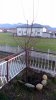 P_20170305_180901.jpg