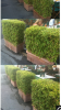 IMG_20170314_135726-203x360.png IMG_20170314_135726-203x360.png