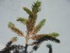 rsz_dsc02285.jpg