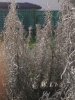 IMG_20170316_133204.jpg