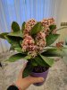 IMG_20170307_182618.jpg
