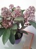 IMG_20170318_102317.jpg