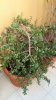IMG-20170320-WA0001.jpg