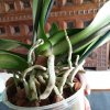 20170321_140556.jpg