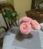 IMG_20170325_134248.jpg