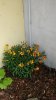 20170326_130203-iloveimg-resized.jpg