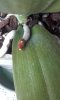 20170326_180743.jpg