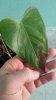 20170326_164757.jpg