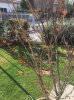IMG_3685.JPG