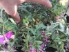 IMG_20170409_181051_resized_20170409_062052589.jpg