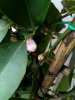 img20170412_132733.jpg