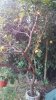 20170413_191337.jpg