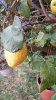 20170413_191350.jpg