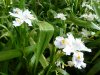 P1190015_ridimensionare.JPG