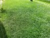 1492283721016-305963532.jpg