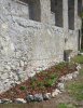 20170415_113819_HDR~01~01.jpg