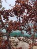 DSC03993.jpg