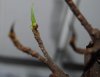 DSC_0038.jpg DSC_0038.jpg