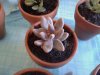 20170423_183526.jpg
