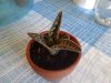 20170423_183612.jpg