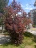 20170430_134247.jpg