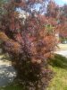 20170430_134257.jpg
