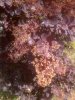 20170430_134312.jpg